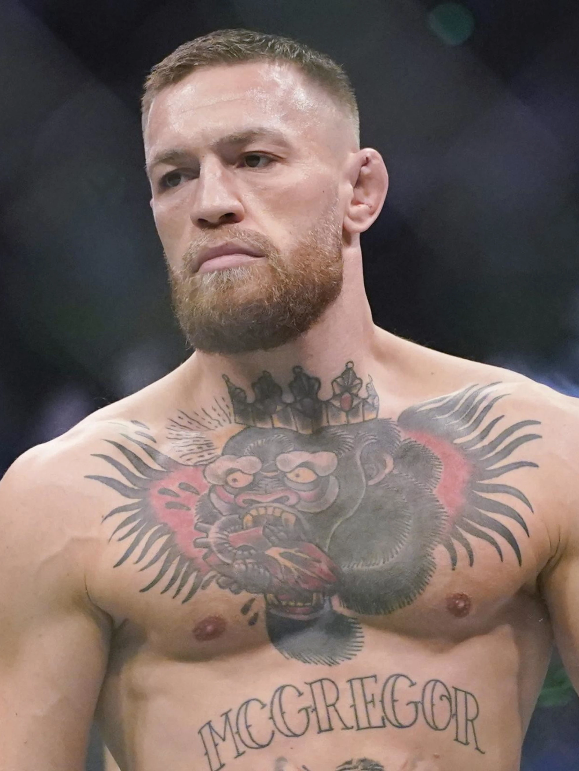 Conor McGregor si candida alla presidenza dell'Irlanda: "Lotta all'immigrazione"