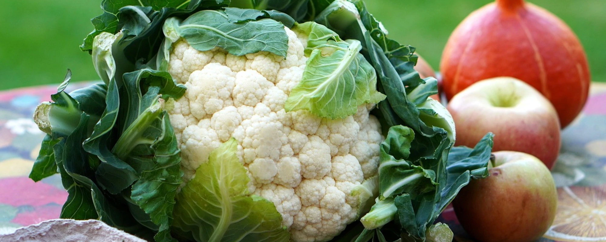 Le 5 cose da mangiare per prevenire il tumore al colon