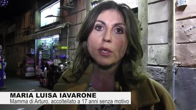 Maria Luisa Iavarone: &quot;Ministro Bussetti, bene l&apos;educazione civica ma non scordiamo la storia&quot;
