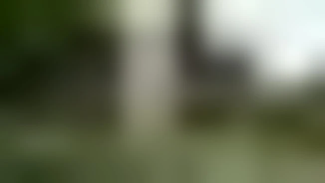 https://media.liberoquotidiano.it/GzLycbZBbROFekEuzLeWVu7es4Ttm4--ZDwByOefBX8/width:800/quality:90/aW1hZ2VzLzIwMjUvMDkvMjkvMTYyNDIzMTM2LTUyMjFkOTk1LTUwNWItNDc0MS05MzI5LWExZTVkODA0OTlmNy5qcGc.webp