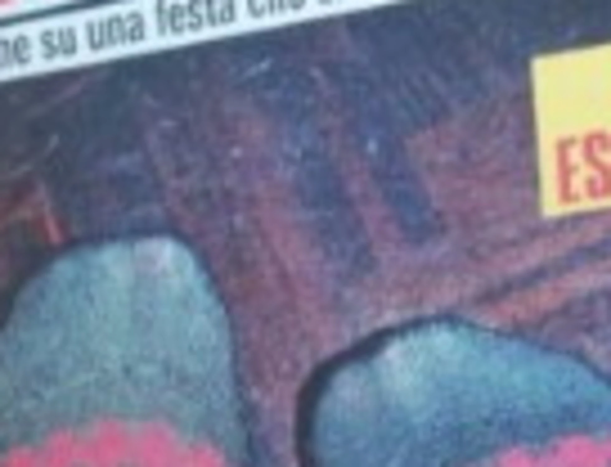 Garlasco, Paola Cappa e la foto-choc dei piedi