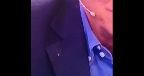 Domenica Live, Pippo Franco: mentre parla di paranormale, un ragno gli cammina sulla giacca