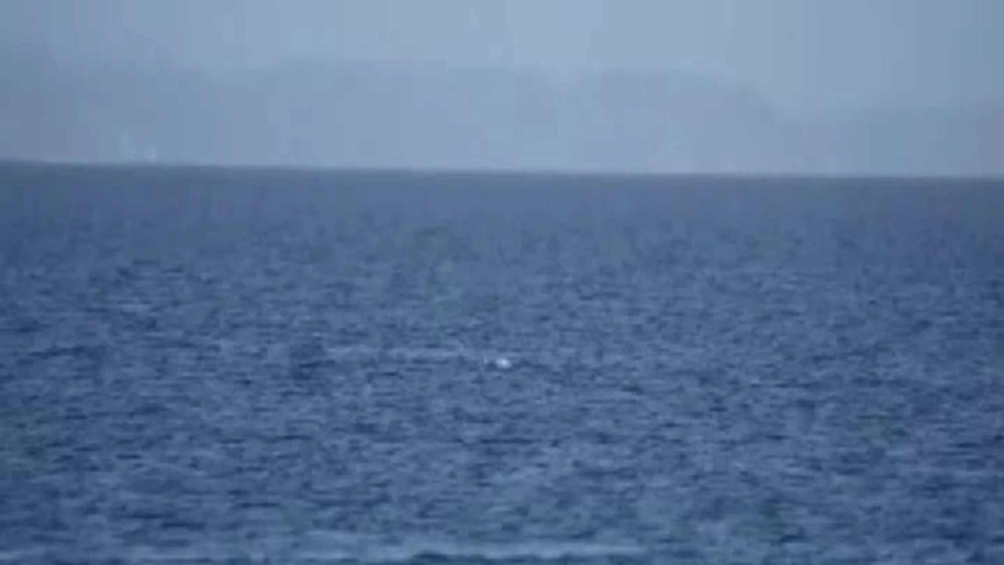 Mar Baltico, la liberazione della balena arenata