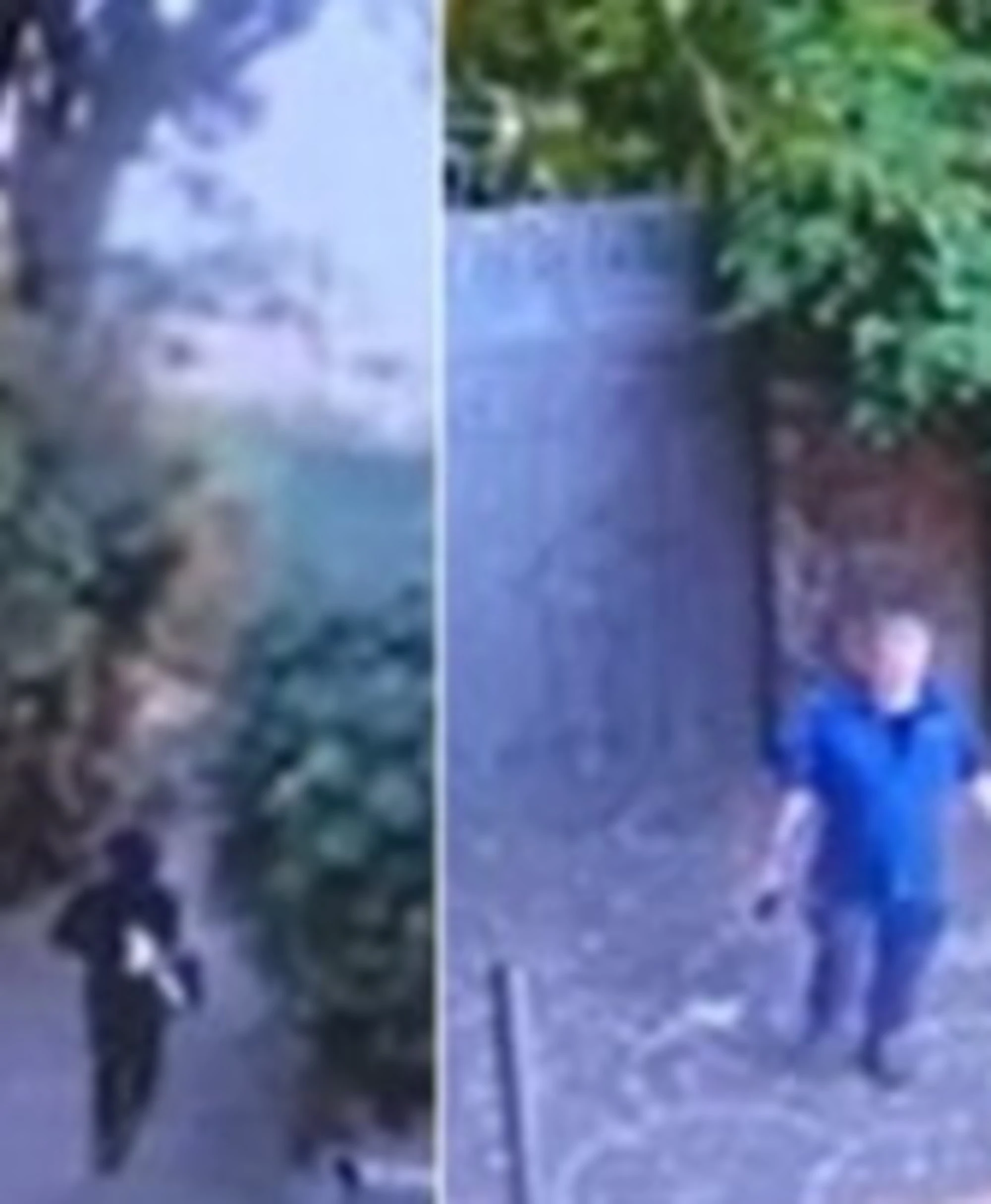 Rapina alla villa di Valentino: per le indagini il basista era il vigilante