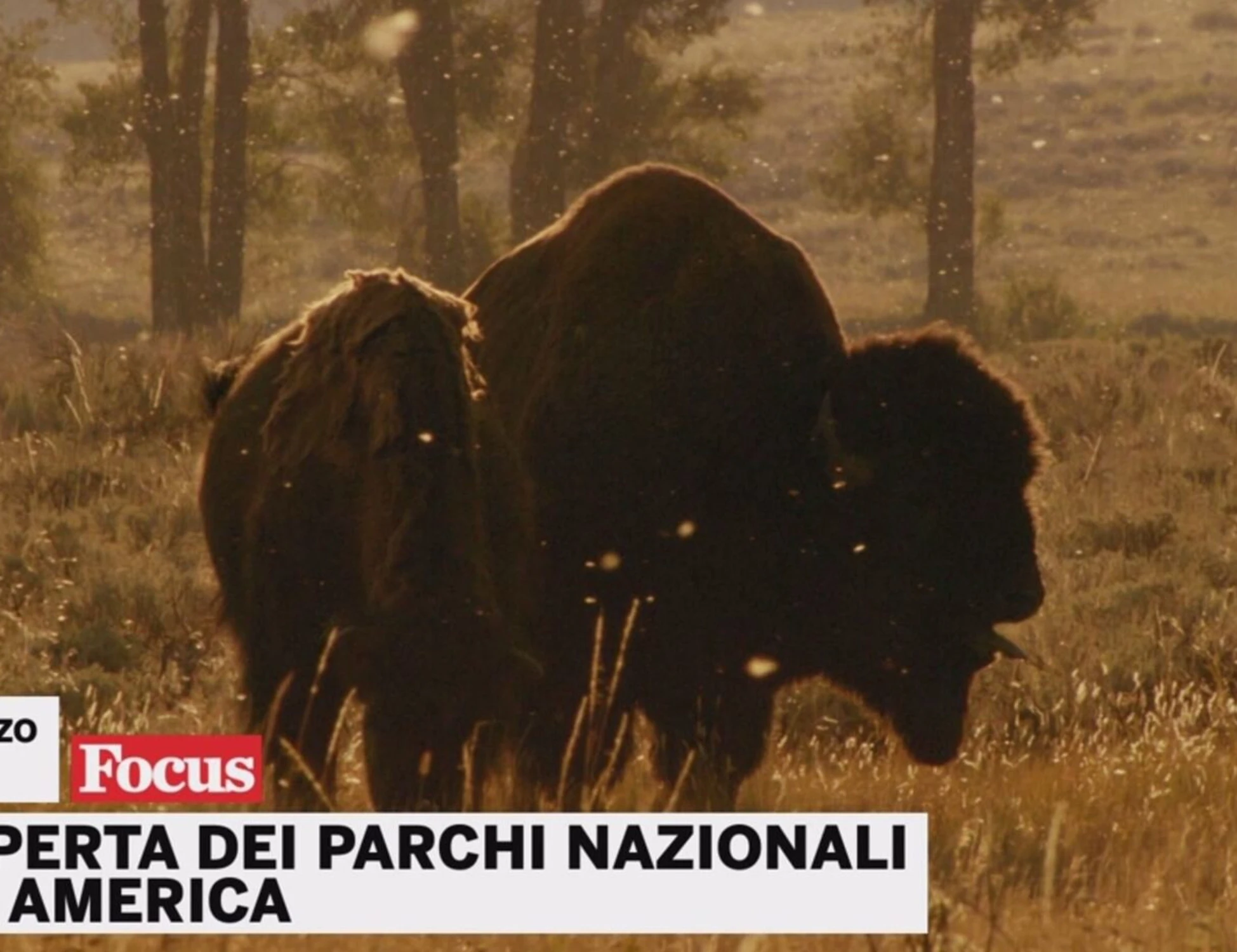 Canale 5, tutti pazzi per i parchi Usa