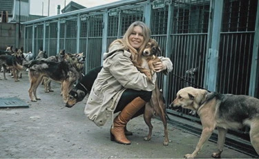 Brigitte Bardot, la capra e la sua seconda vita