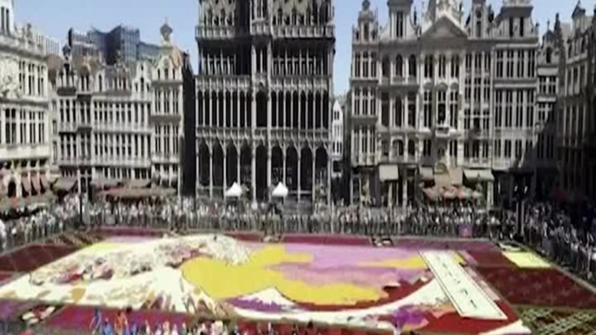 Bruxelles, la "Grande Onda" di Hokusai diventa un tappeto di fiori