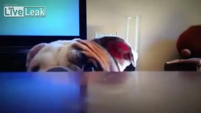480x270
