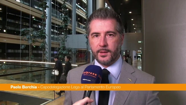 Borchia "Sul Bilancio Ue serve realismo"