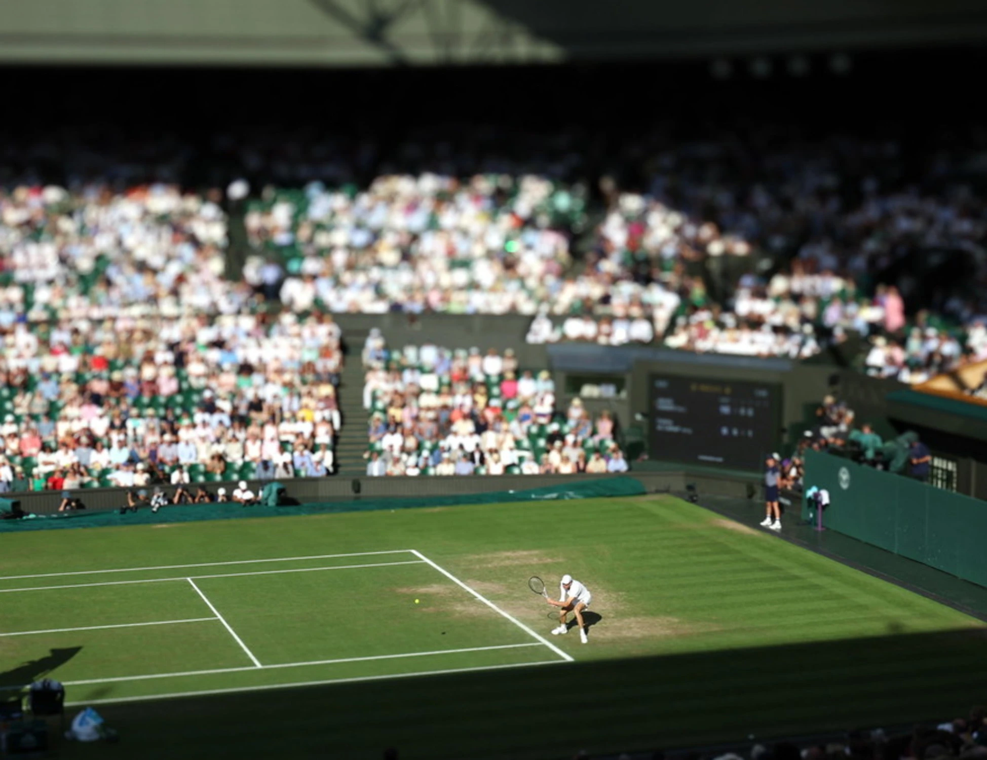 Wimbledon, quanto incassa il vincitore: cifra record