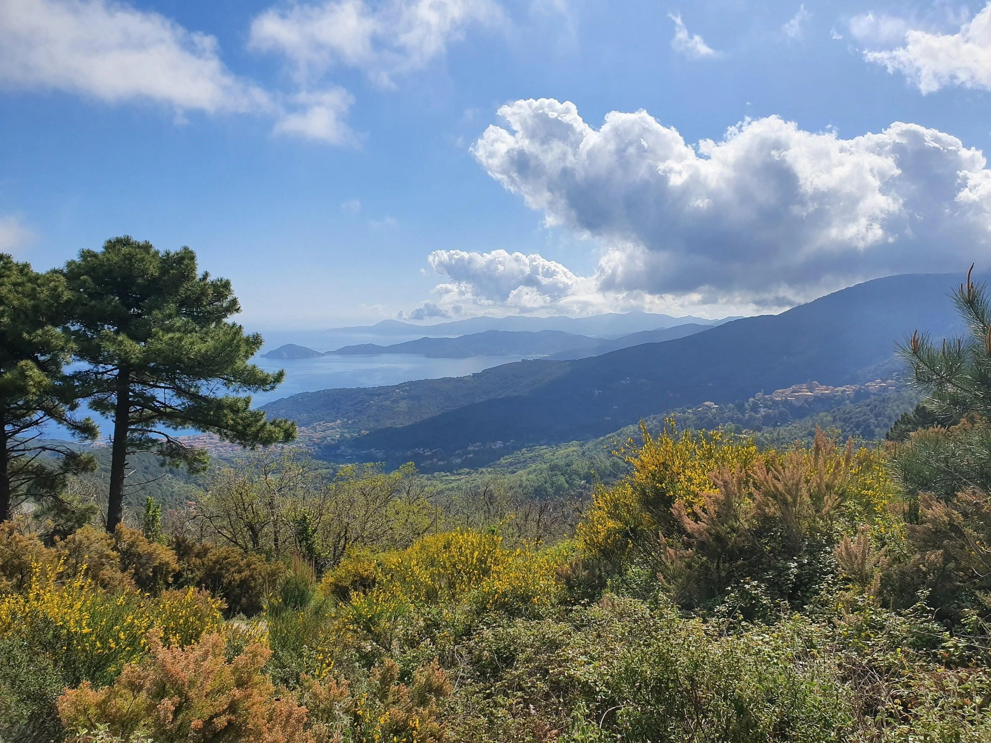 Isola d'Elba, mangiano e dormono in un agriturismo per 17 giorni: quando devono pagare...