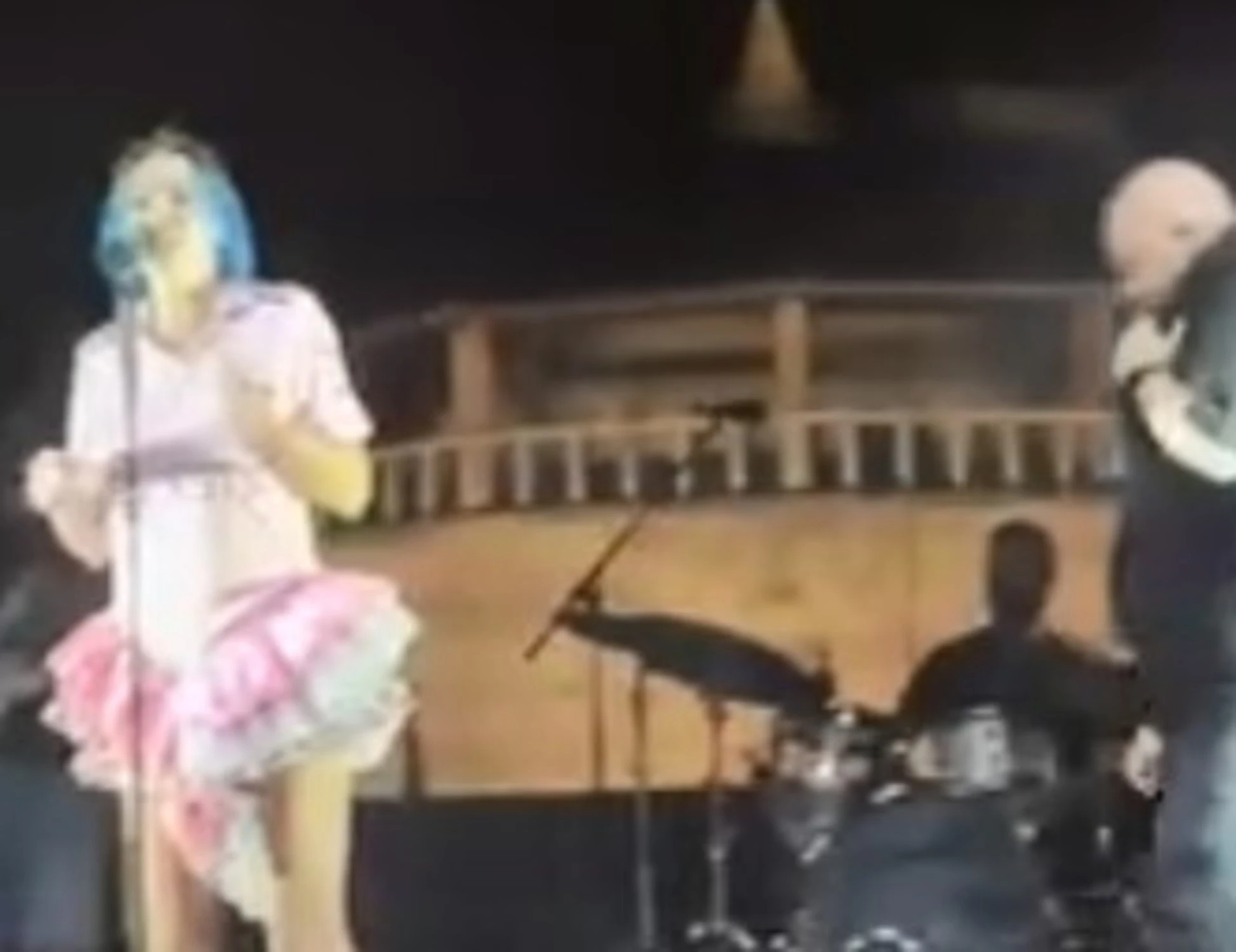 Rose Villain, "vergogna": un grillo ucciso scatena la polemica