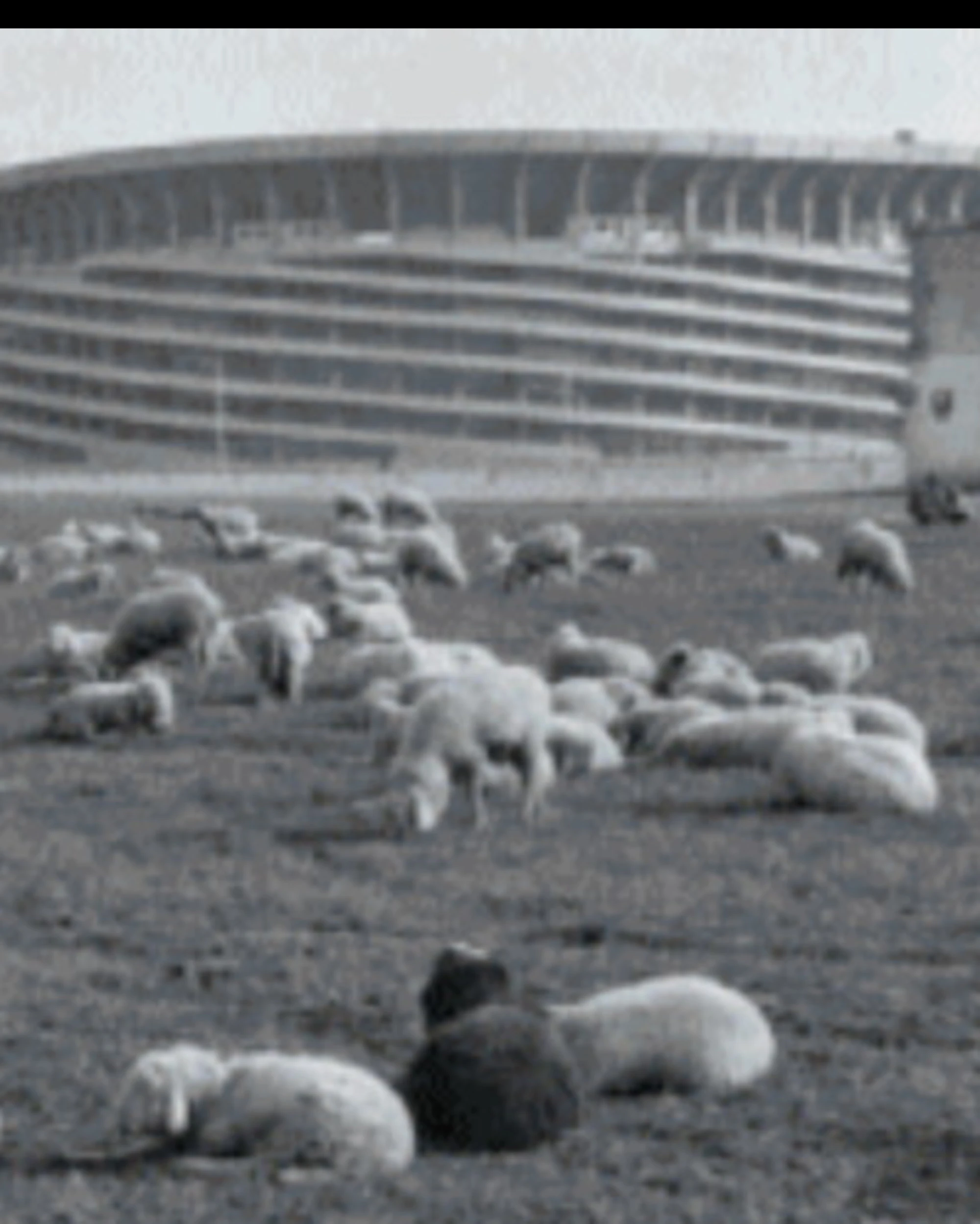 San Siro, il colosso che da un secolo veglia su Milano