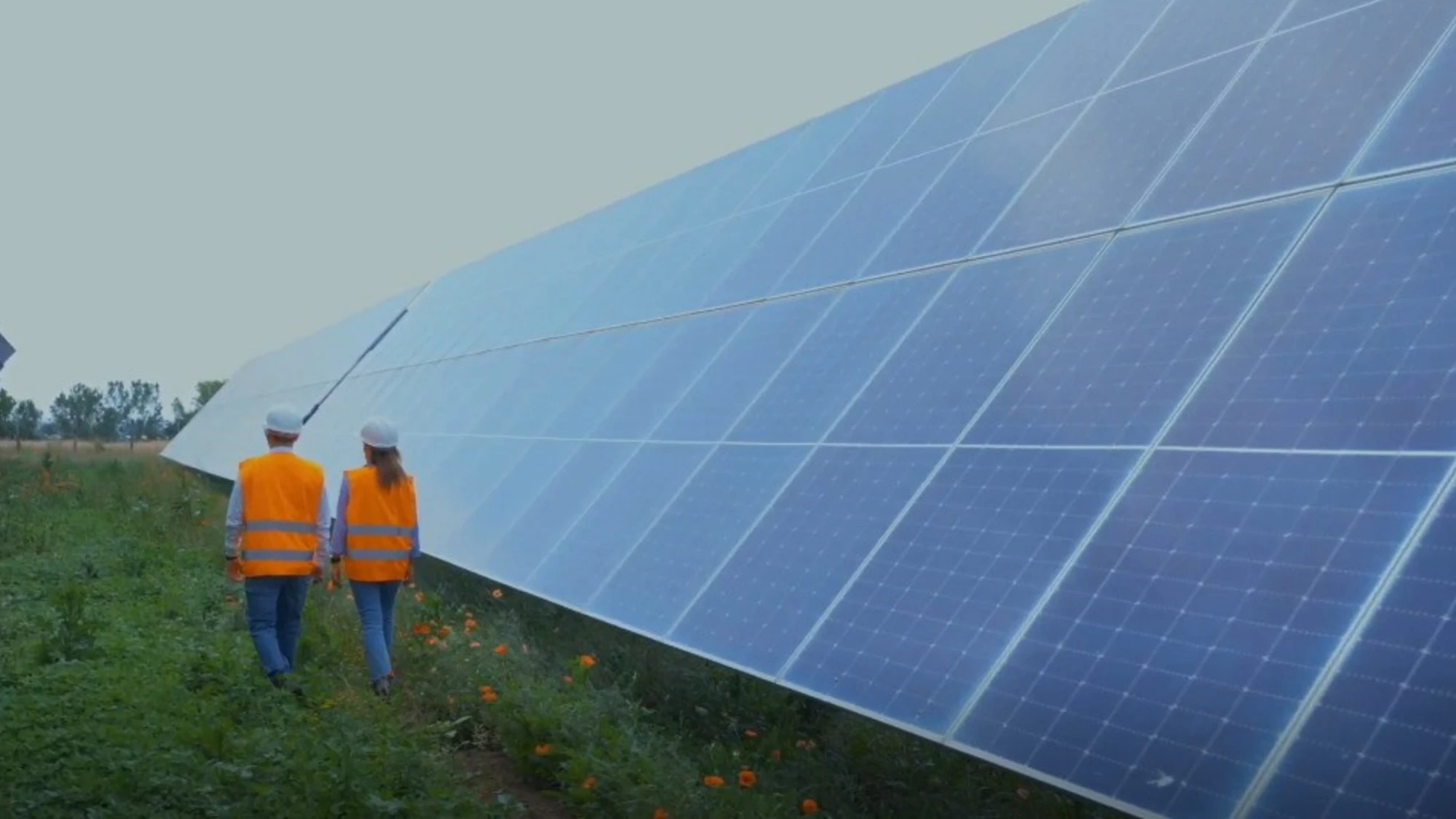Fotovoltaico e agricoltura insieme: a Pian di Giorgio il modello che unisce energia e territorio