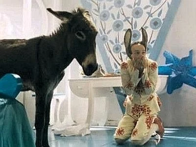 ''Sei un asino e bugiardo''. Cassazione: multa al prof che mortifica l'alunno