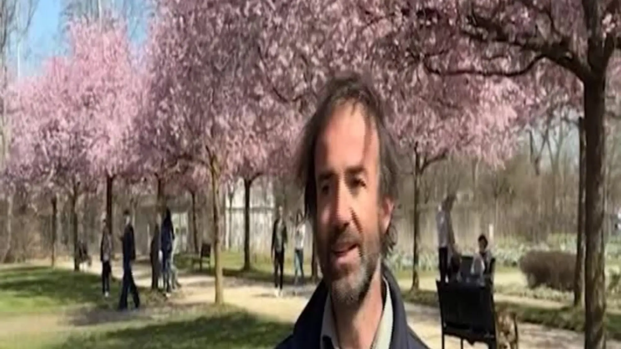 Lo spettacolo dei ciliegi in fiore alla Reggia di Venaria