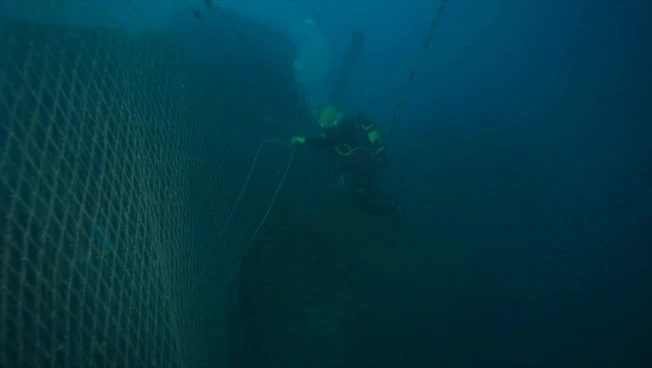 Dal mare all’energia, Green Plasma trasforma le reti fantasma in risorsa