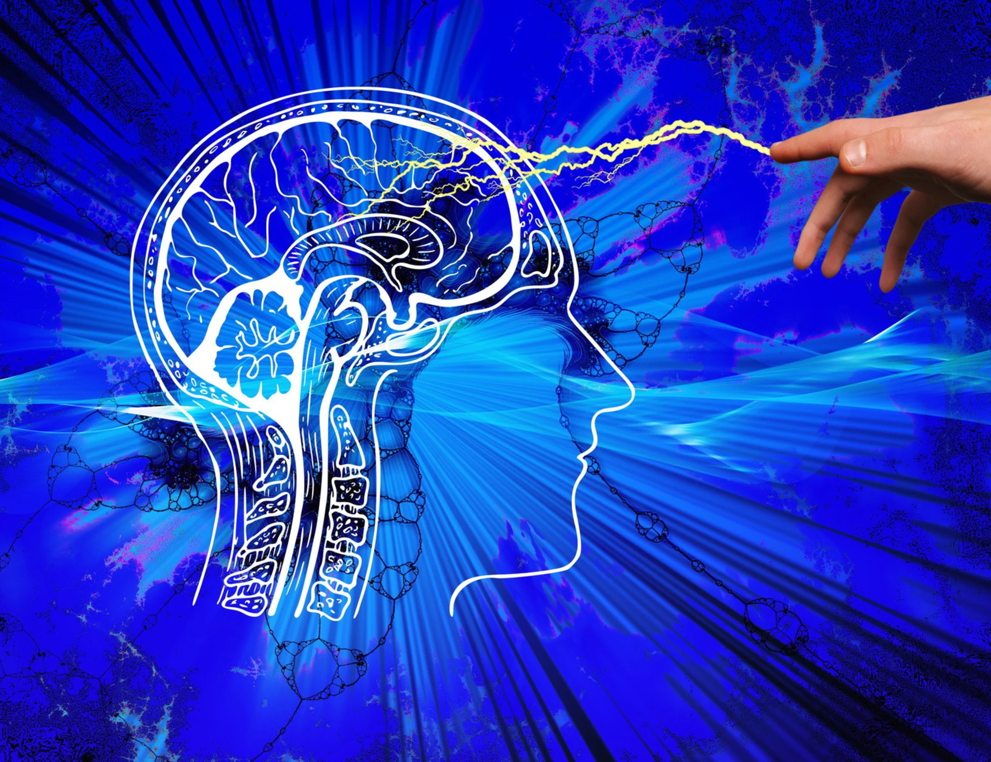Il cervello elimina i neuroni con anomalie genetiche: la scoperta che svela un meccanismo fondamentale dello sviluppo