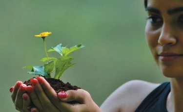 La giornata mondiale dell'ambiente tra crisi e realismo