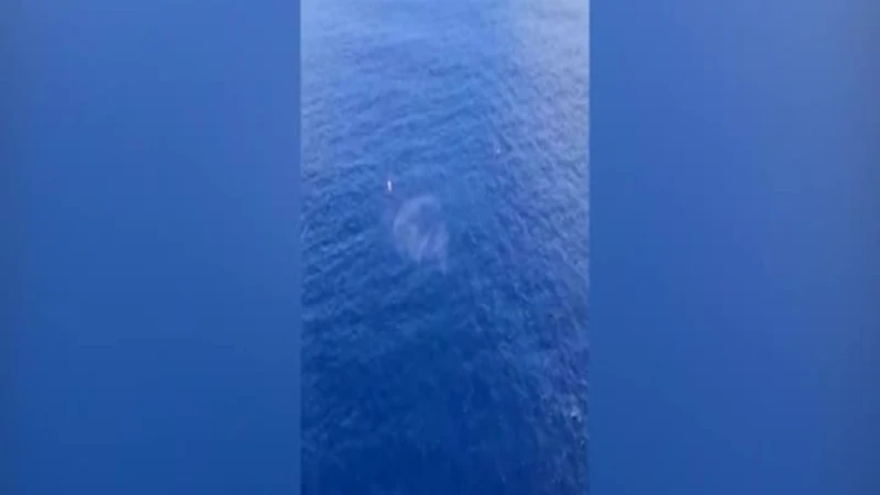 Porto Rico, barca si capovolge in mare: 40 persone soccorse