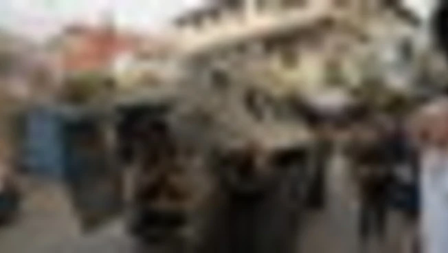https://media.liberoquotidiano.it/HpHuZ6aH6d_g3FmUndwX44wcfcrTMzrQUOh6hfk_etU/width:800/quality:90/aW1hZ2VzLzIwMjUvMDgvMjkvMTYxMTU0MjgwLTRkYjgwNGI4LTc4MWYtNGFmOC04ODYxLTFhYzlkOTBjZWVlYy5qcGc.webp