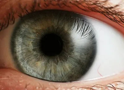 400x289