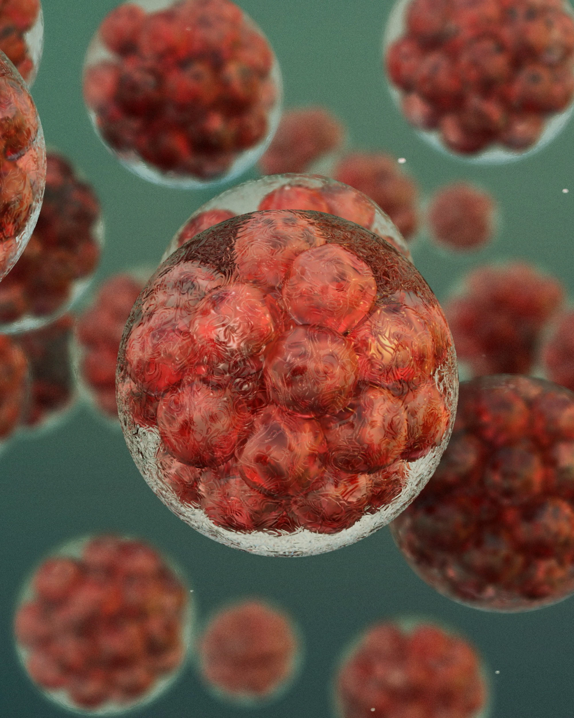 Cancro, l'allarme di David Quammen: "Presto trasmissibile come un virus"