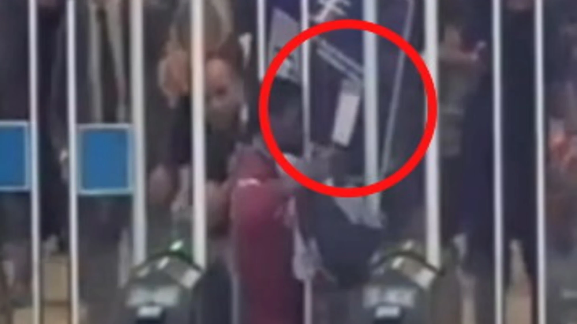 Milano, immigrato sul treno con mannaia. il video agghiacciante