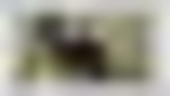 https://media.liberoquotidiano.it/Hu-PNInTAKGJ8H89P--woTq-bjtvZhb5X6GSi7dw6K8/width:800/quality:90/aW1hZ2VzLzIwMjUvMDkvMDUvMDgzNjM2NTUxLWRlNjc3MzM0LWI5YzAtNDkyNy1hNDA4LTlhZGZlY2VlNjE1Zi5qcGc.webp