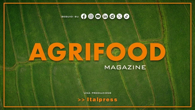 Agrifood Magazine - 26/8/2026