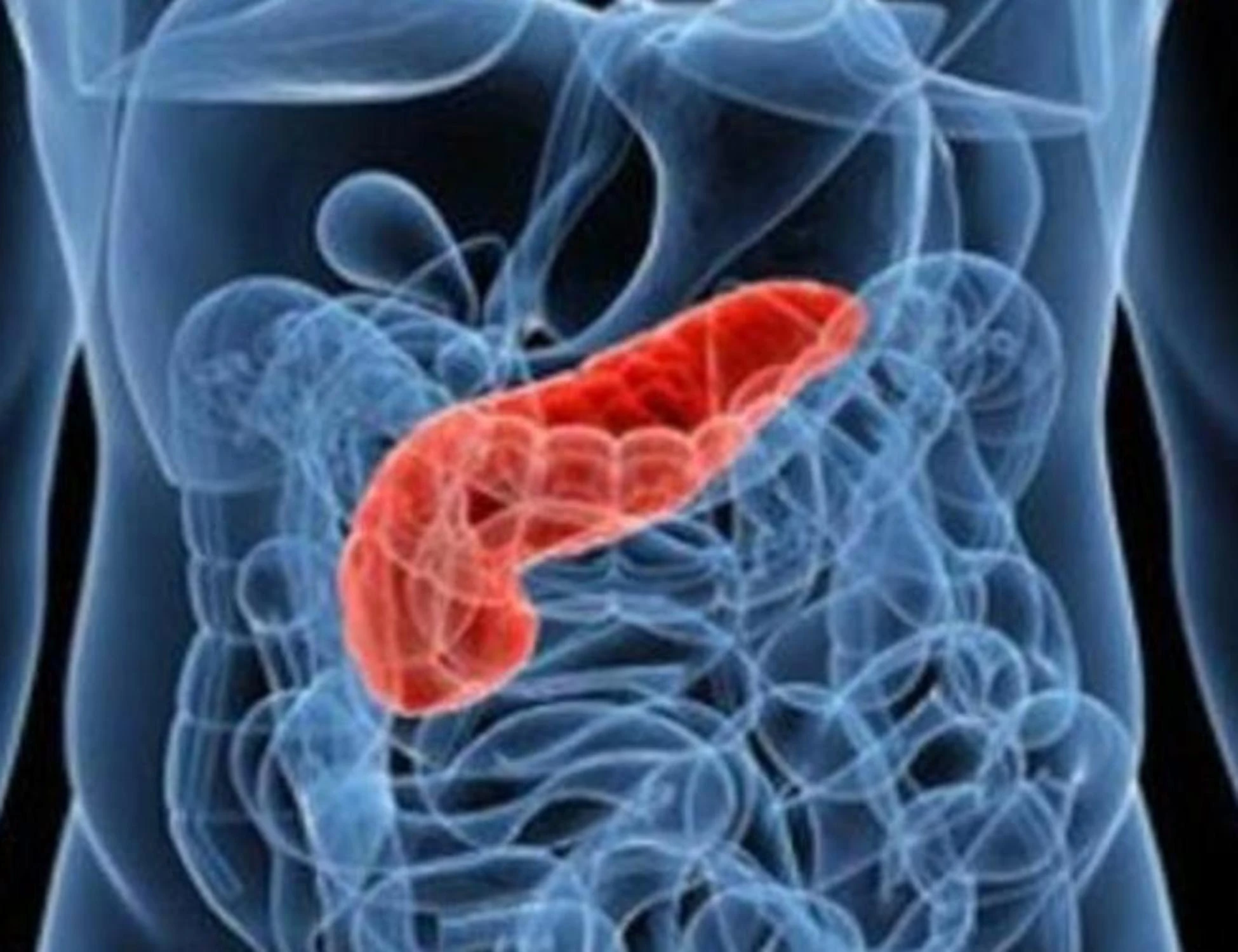 Tumori, la scoperta rivoluzionaria: "Inibire la proteina Bace 2" per combatterli