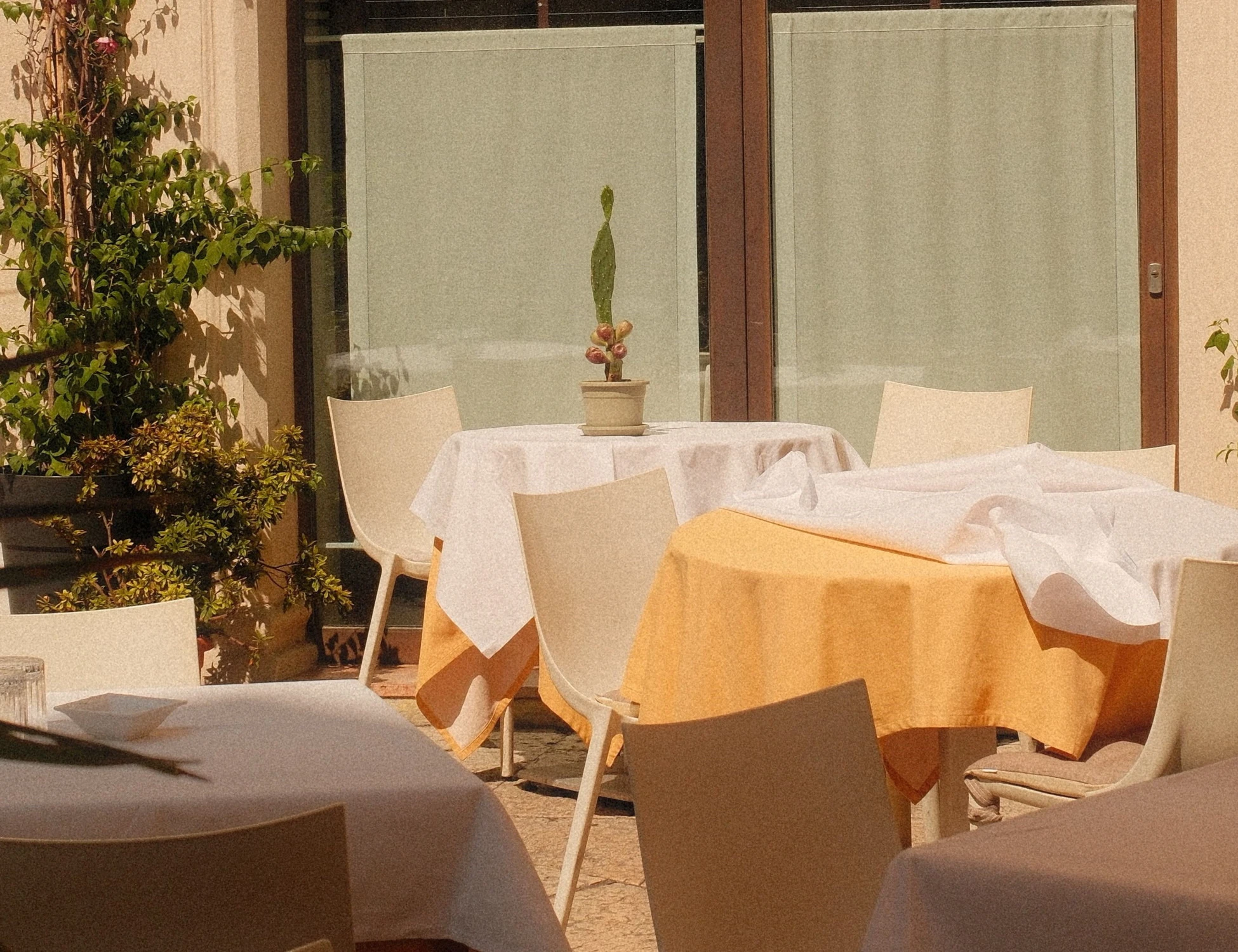Ancona, parcheggia nel dehors del ristorante e il titolare gli apparecchia sulla macchina
