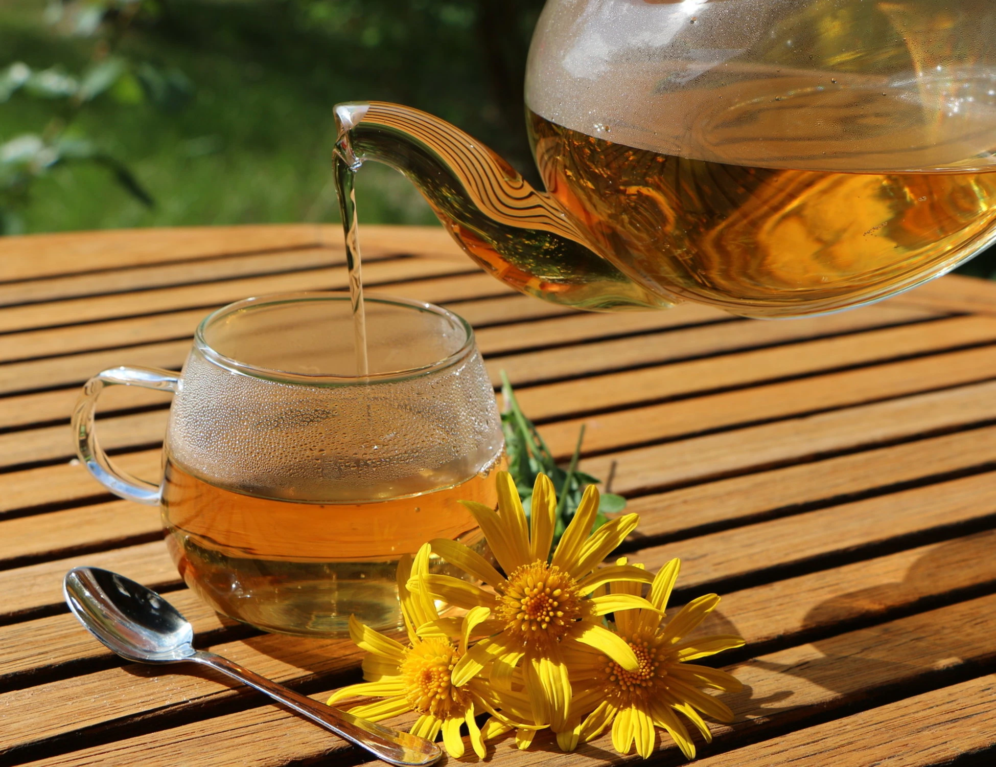 Tisane, quando fanno male: chi e perché rischia il ricovero