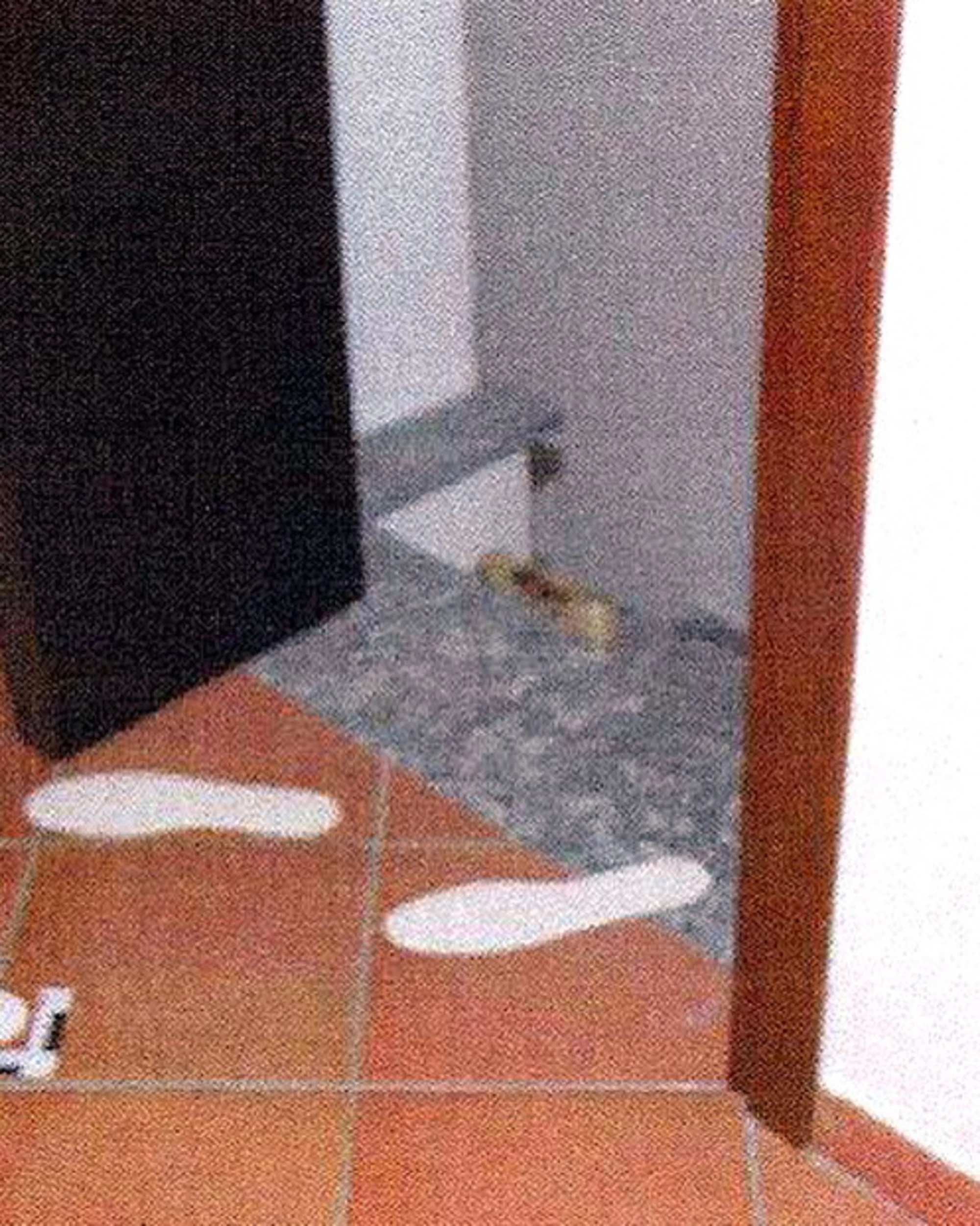 Garlasco, l'errore: cercavano solo liquido seminale
