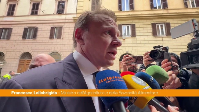 Referendum, Lollobrigida "Persone possono decidere liberamente, noi ottimisti"