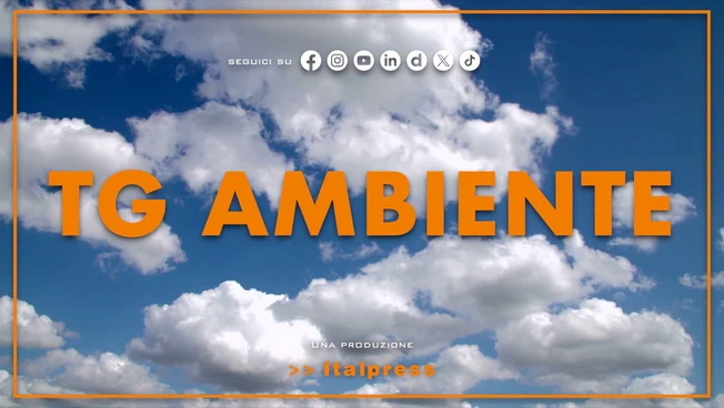 Tg Ambiente - 4/1/2026