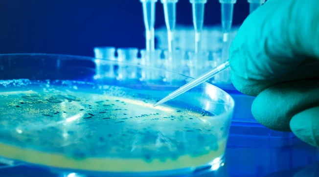 Coronavirus, ipossia silenziosa: effetto collaterale, così il Covid-19 può uccidere (quasi) senza sintomi