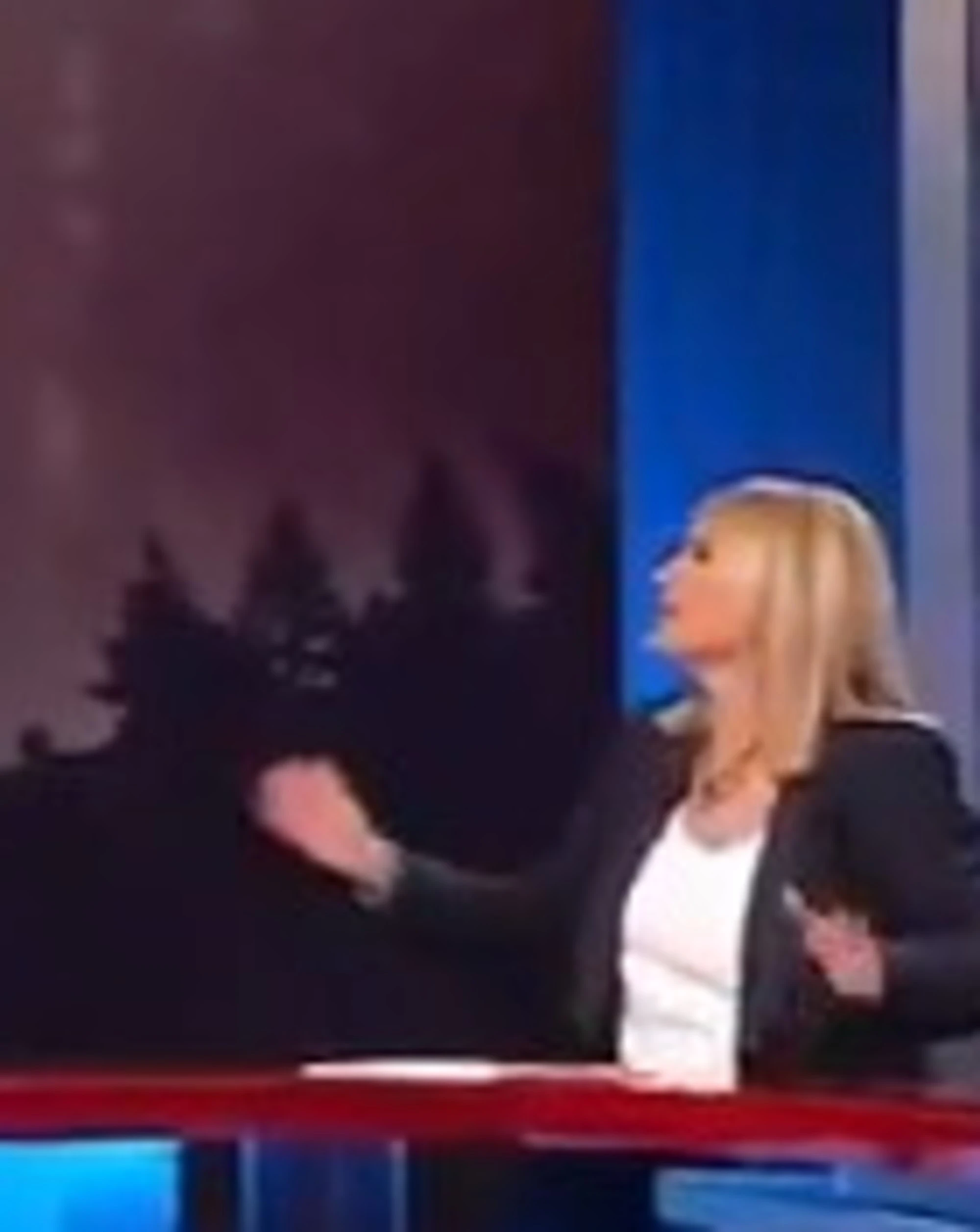 Chi l'ha visto, Federica Sciarelli inchioda l'ospite: "E gli slip?"