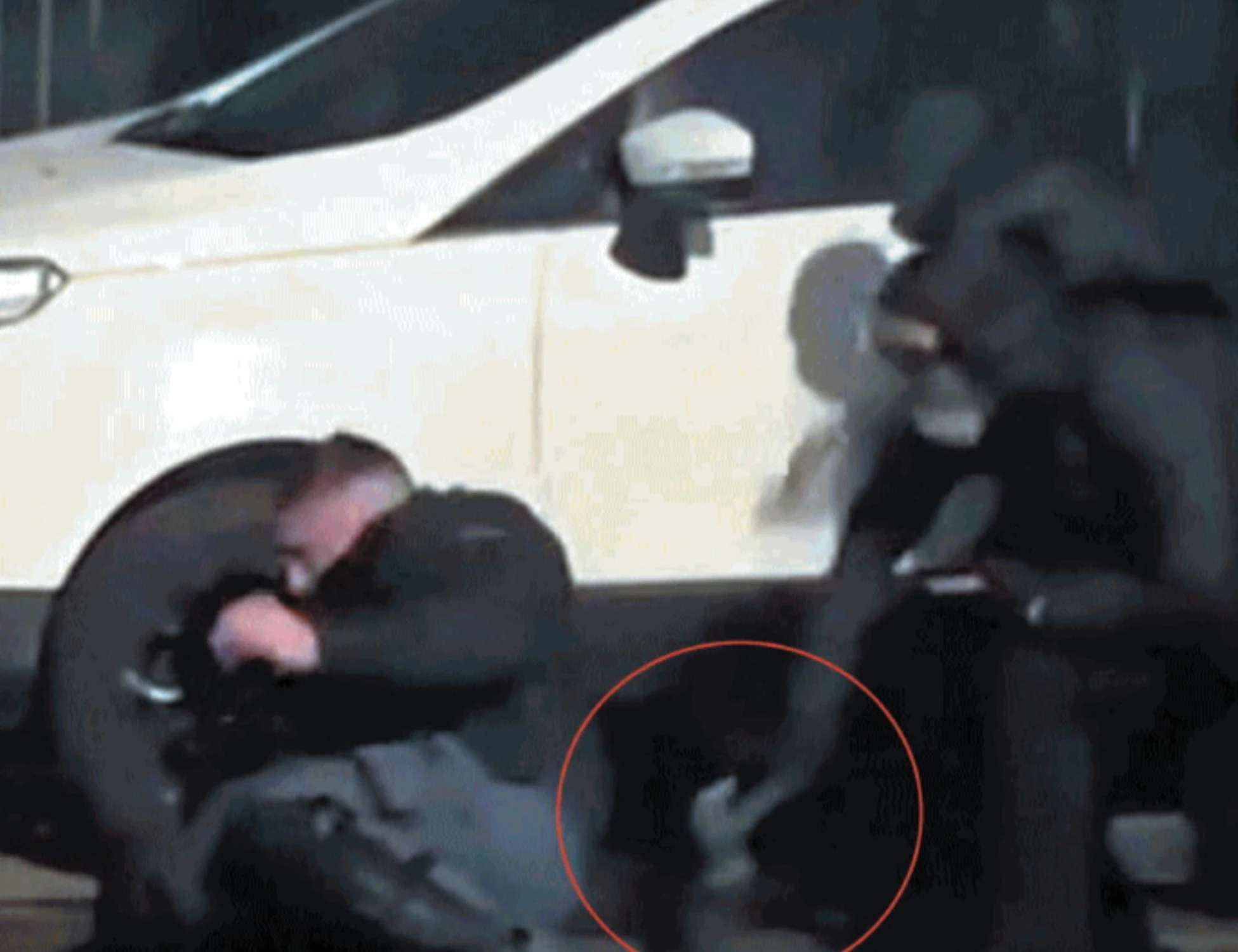 Regalo Pd a chi mena i poliziotti: riparte il dialogo con Askatasuna