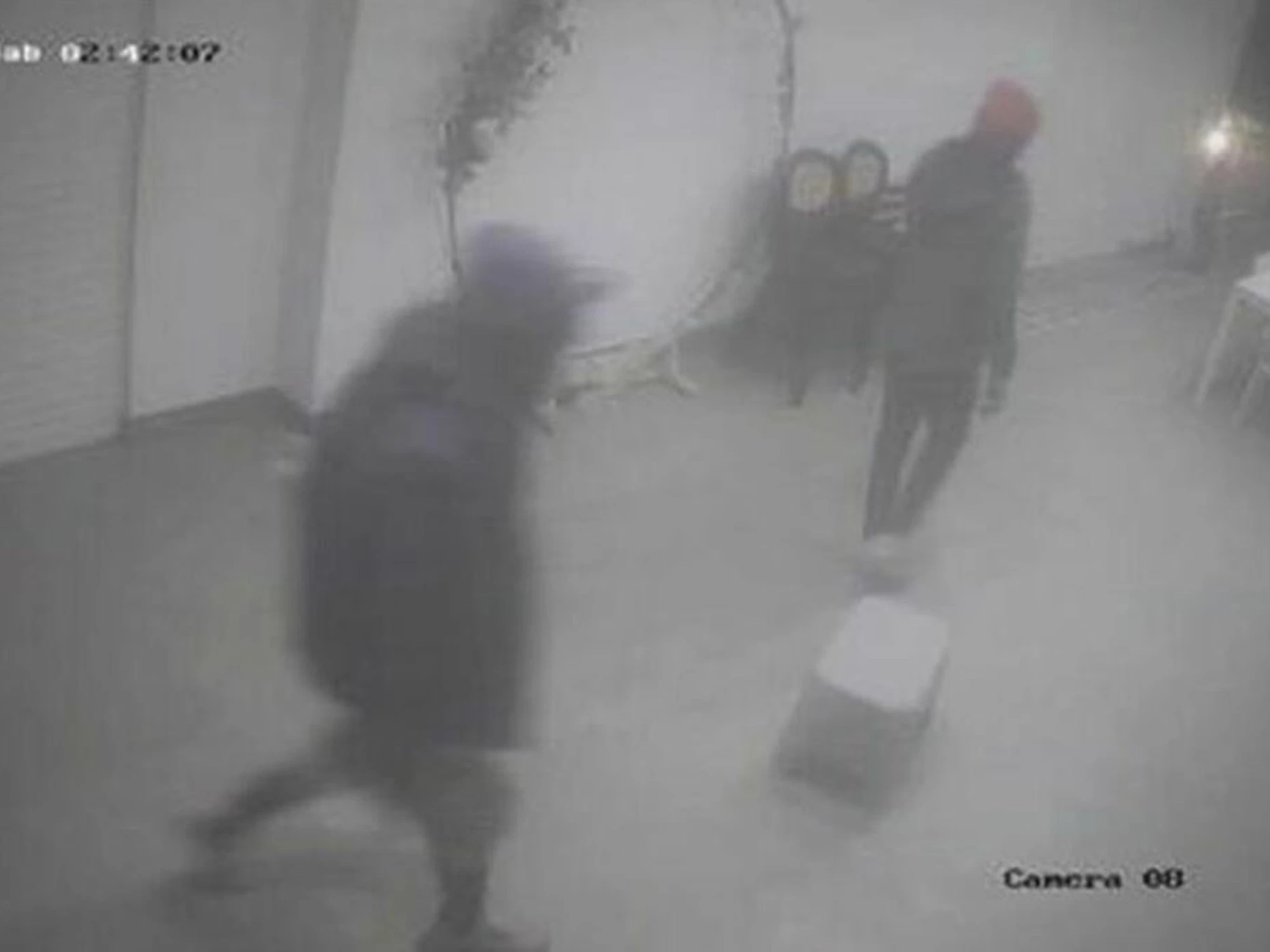 Torino, vede un ladro in casa con la telecamera e chiama il 112: che fine fa il bandito