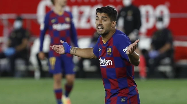Luis Suarez, le tre telefonate tra l'avvocato della Juve e il direttore dell'università di Perugia: "Porteremo altri giocatori extracomunitari"