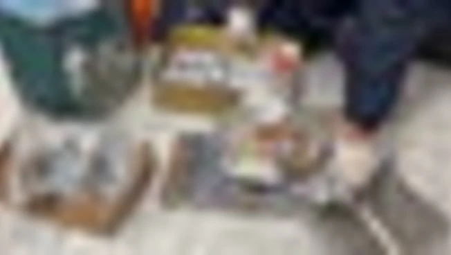 Vasta operazione anti-droga, 384 arresti in diverse province