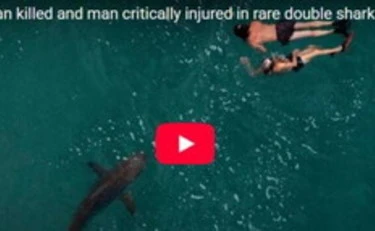 Australia, 20enne sbranata da uno squalo: immagini agghiaccianti