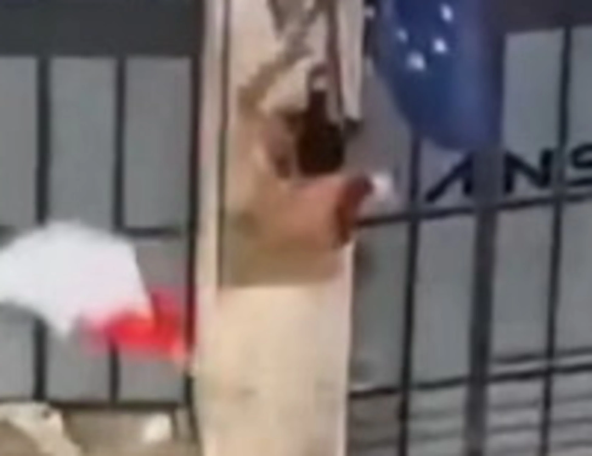 Firenze, l'immigrato che ha oltraggiato il Tricolore? Subito espulso