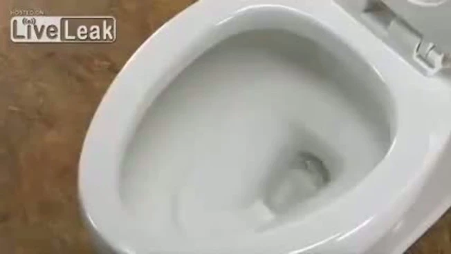 426x240