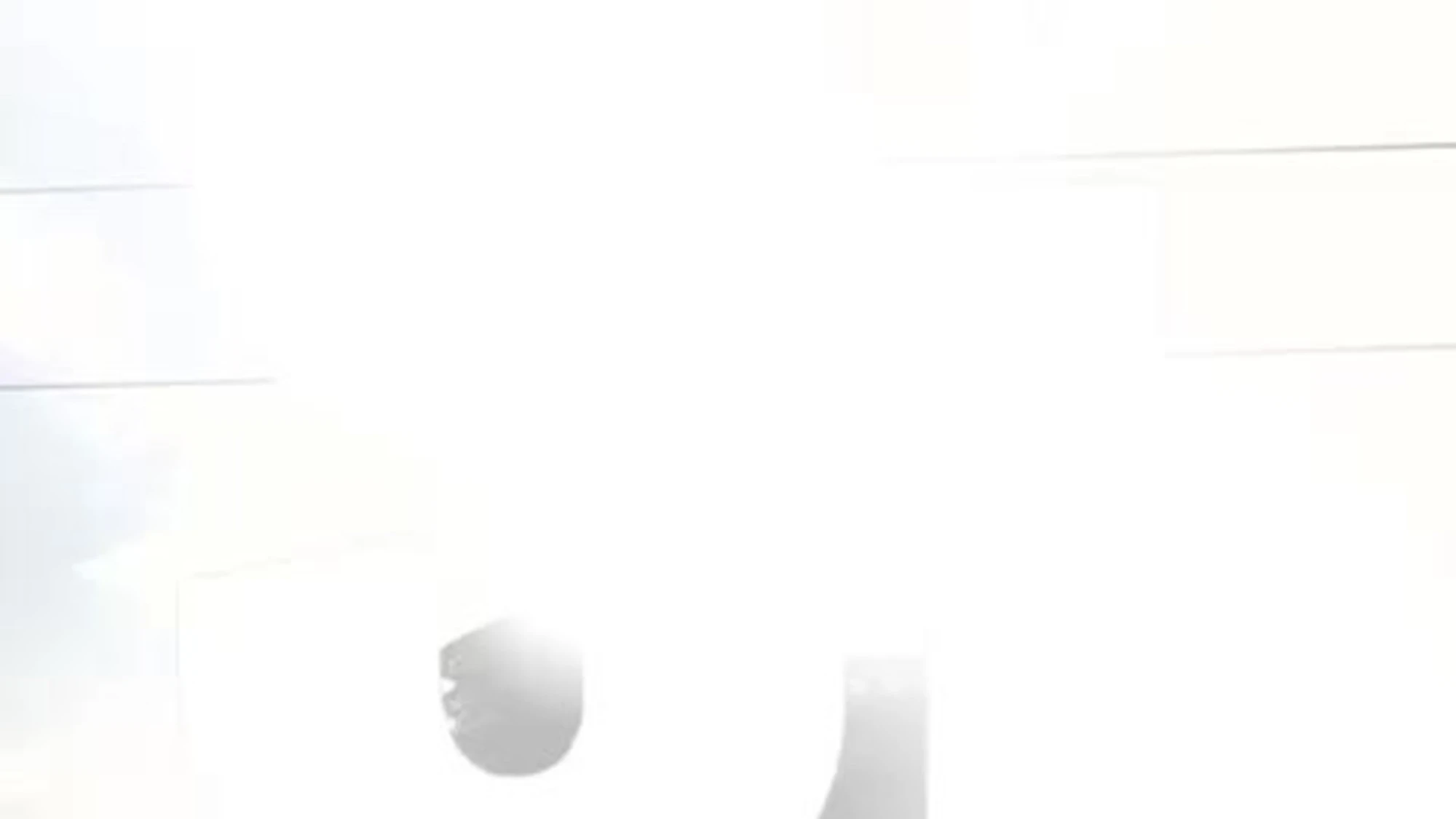 Ue, FdI-Ecr: flashmob al PE di Strasburgo a sostegno del SÌ al referendum giustizia 