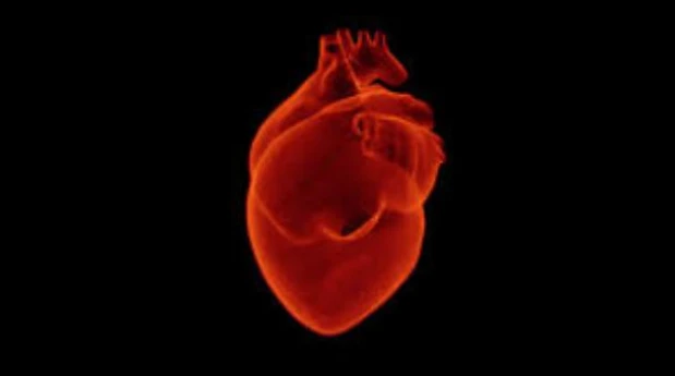 Infarto, la rucola fa bene al cuore: abbassa la pressione arteriosa combattendo l'ipertensione