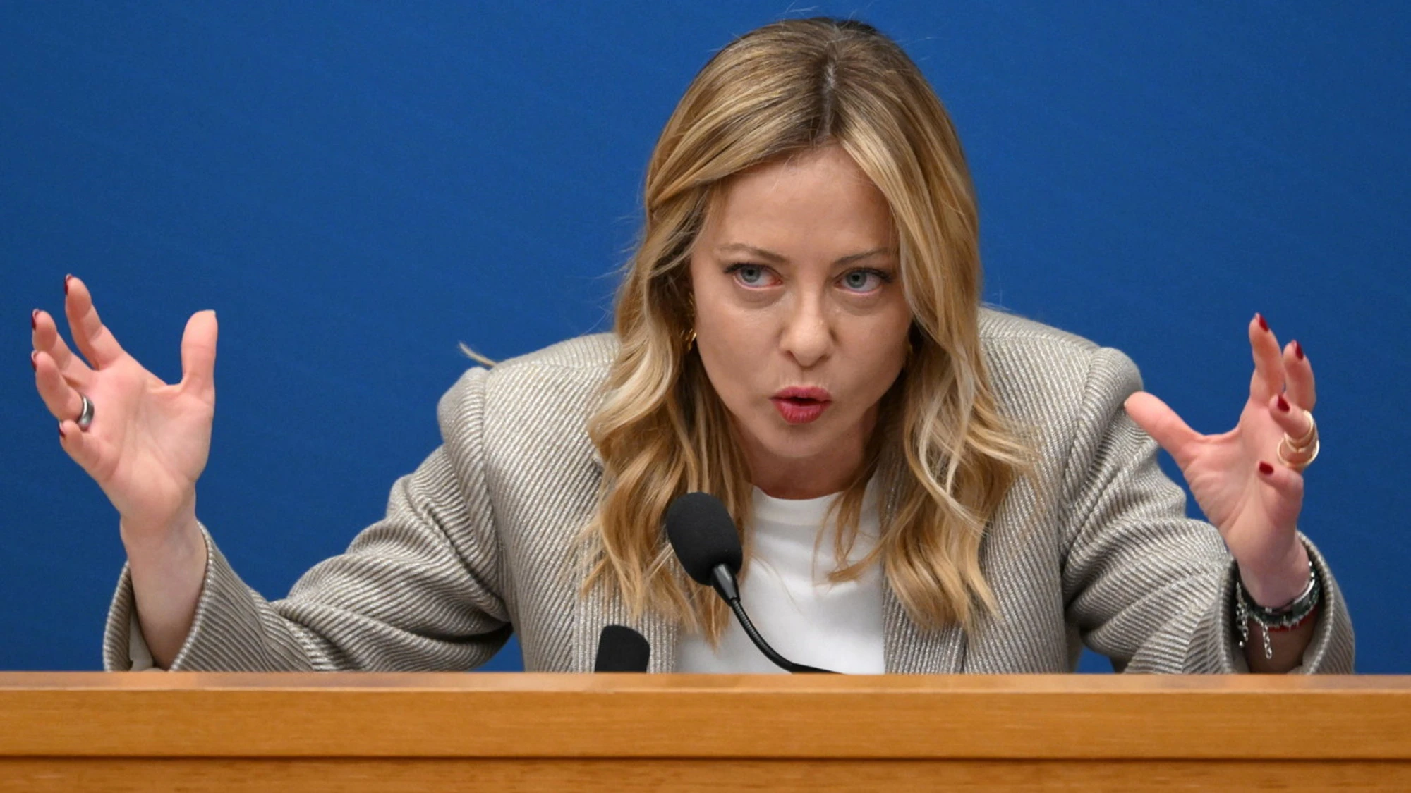 Giorgia Meloni e l'appello ai signori del No