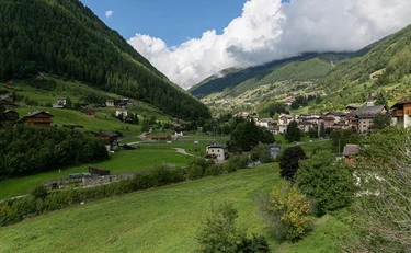 La valle dei dinosauri nel parco dello Stelvio: "Migliaia di esemplari"