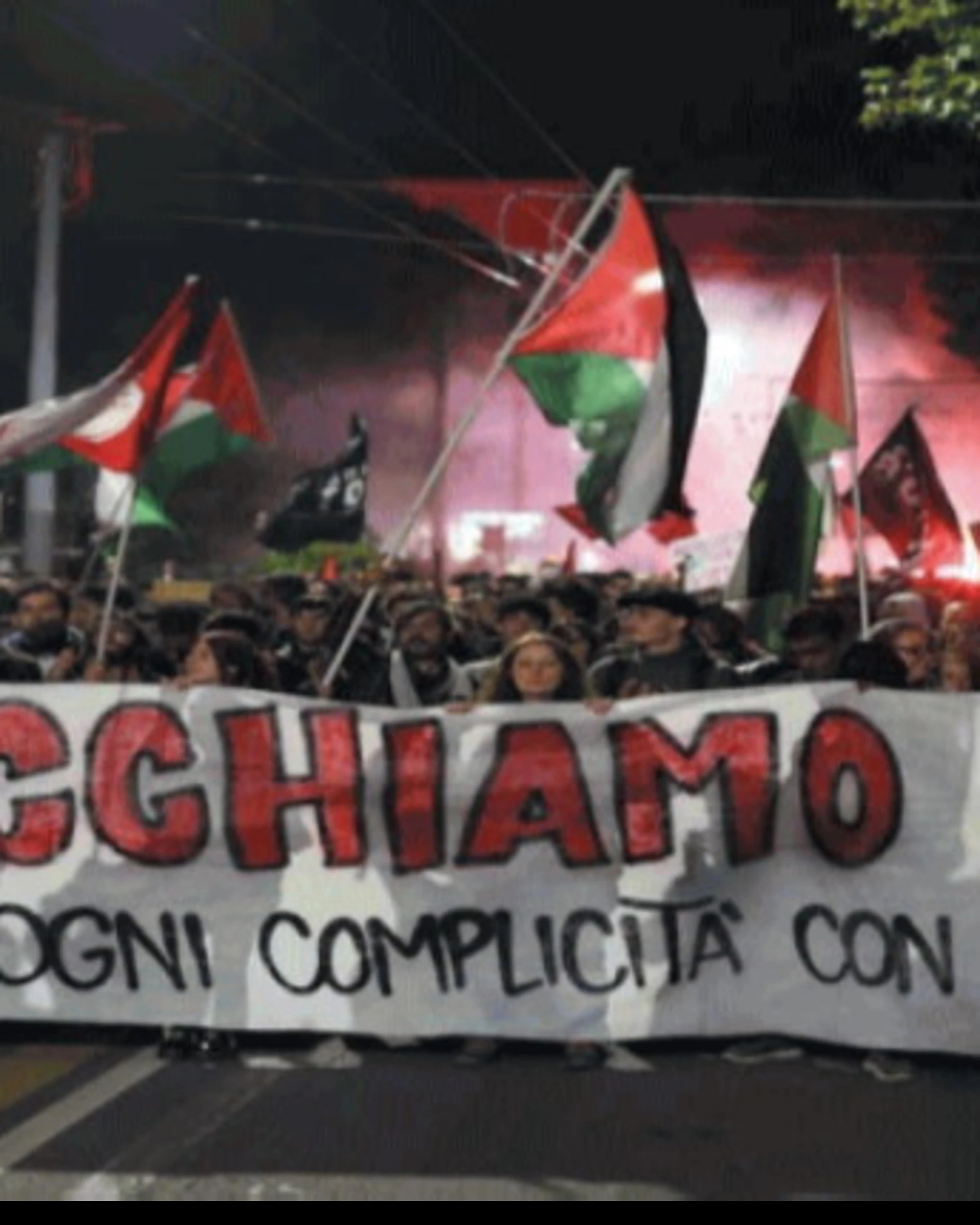 Pro-Pal, ovvero il caos: il tarlo delle città paralizzate